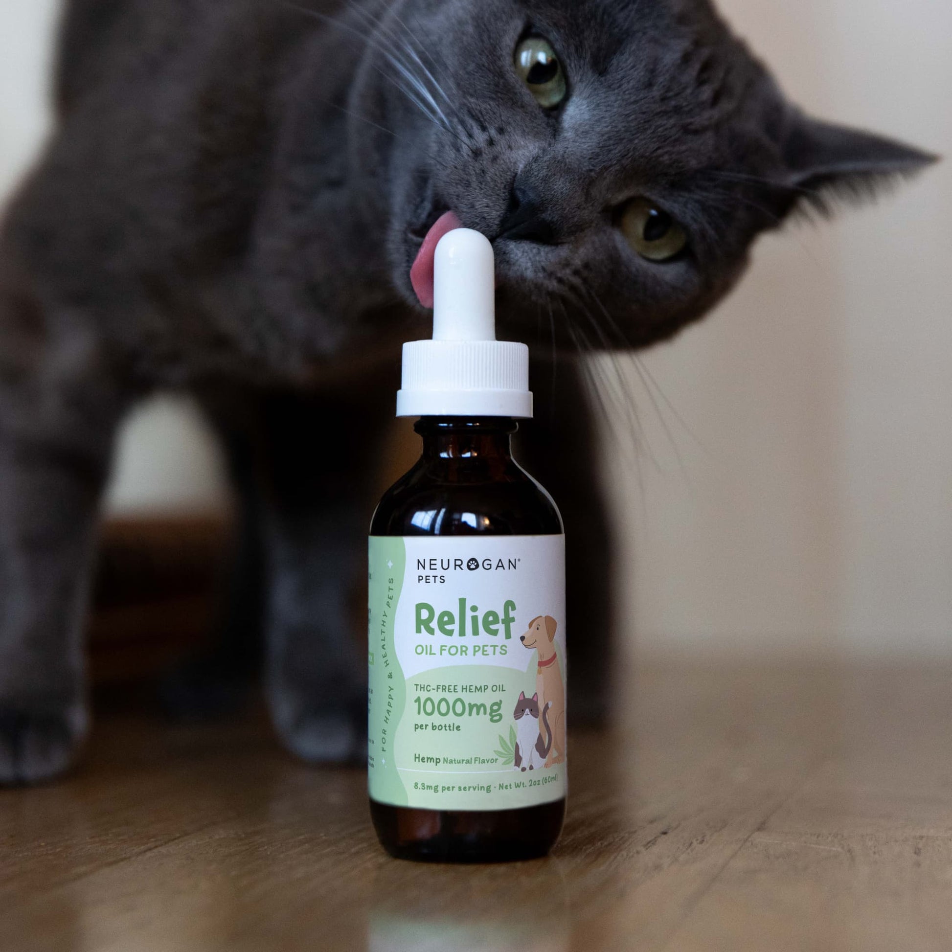 Cat licking dropper of pet hemp oil