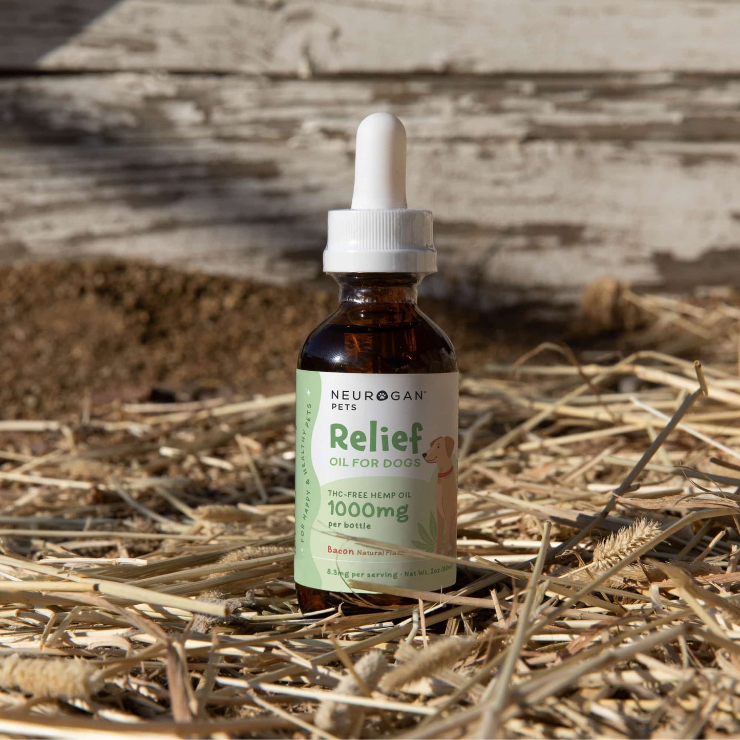 Bacon Flavor CBD Dog Oil - Neurogan Pets