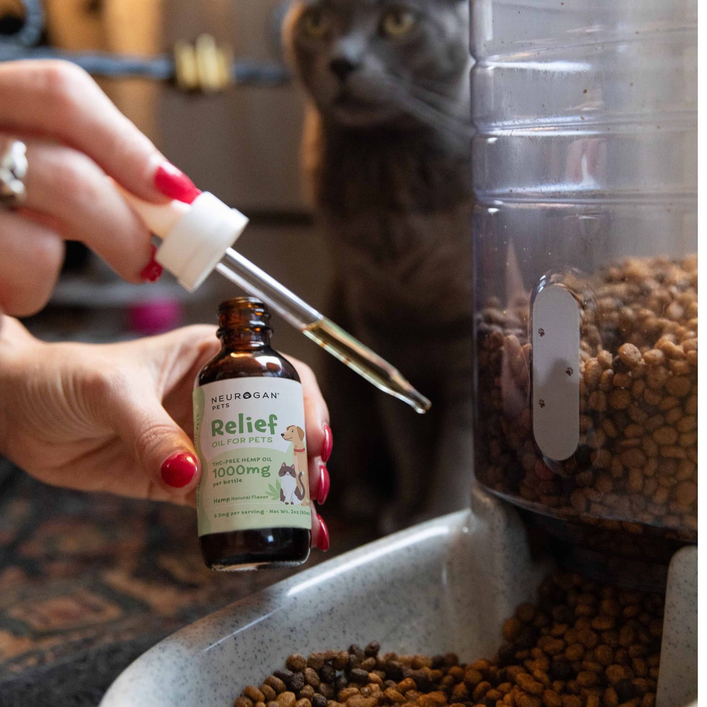 1000MG CBD Dog Tincture - Neurogan Pets