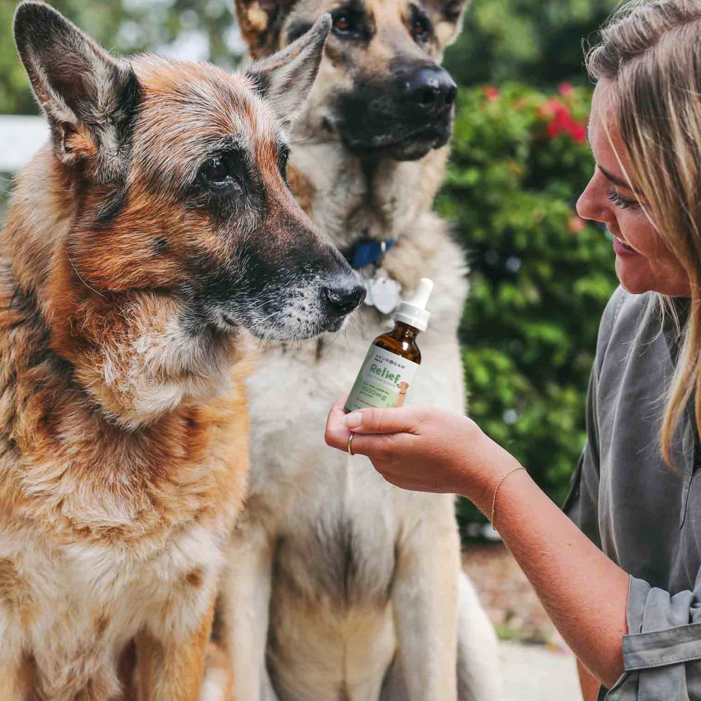 Bacon Flavor CBD Dog Oil - Neurogan Pets