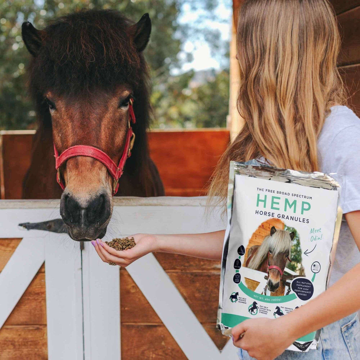 Full-Spectrum Hemp Horse Granules bag held by a woman while offering hemp granules to a horse.