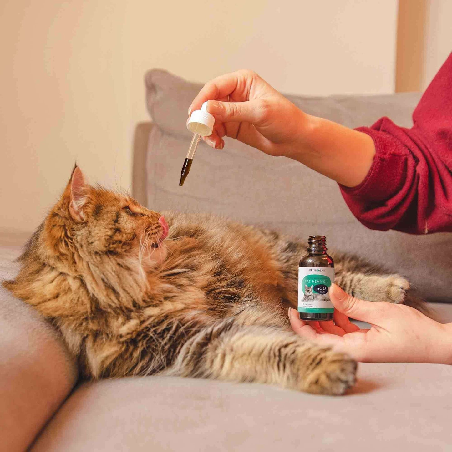 luffy tabby cat on a couch licking its lips while a person offers Cat Hemp Oil from a dropper. Open bottle in hand.