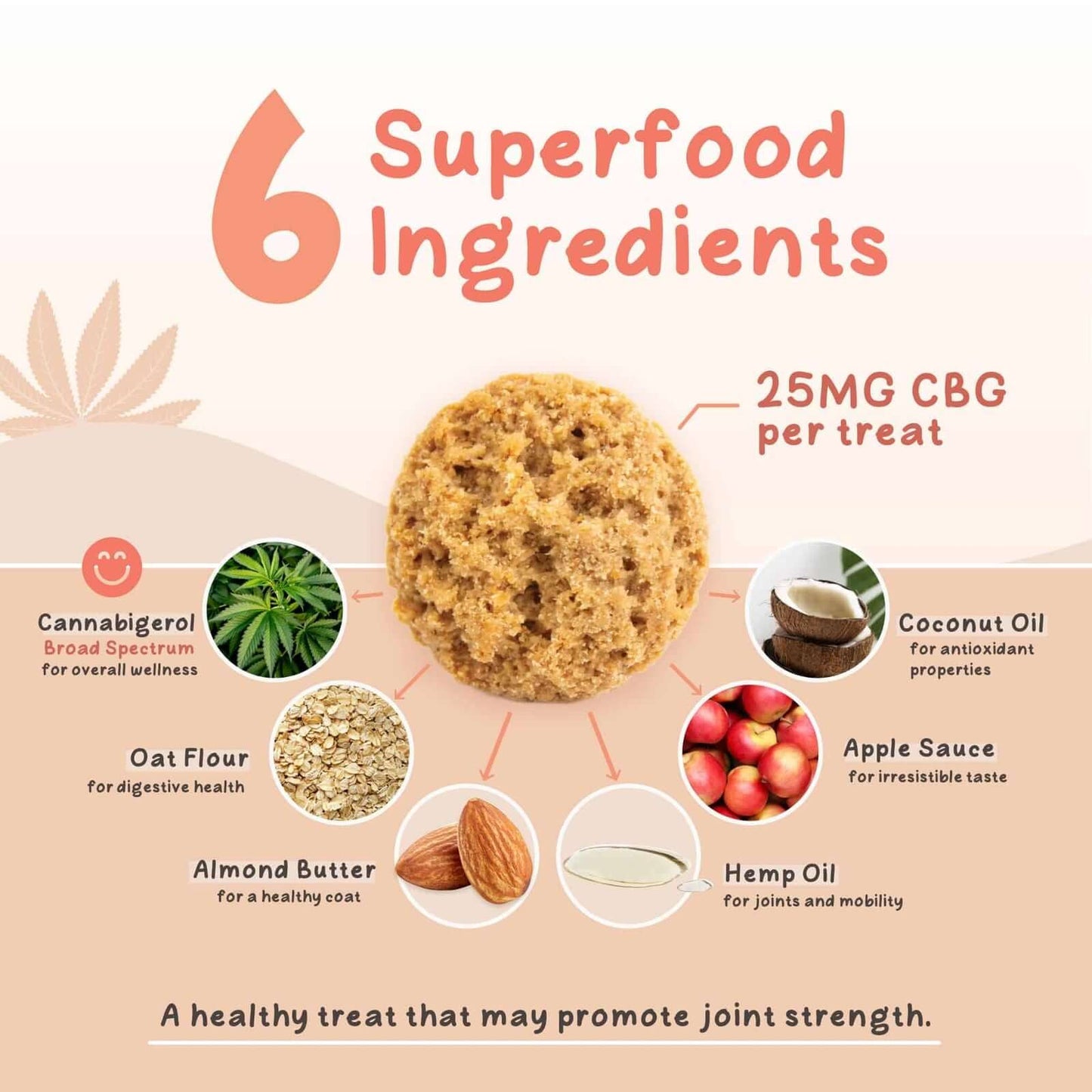 CBG Dog Treat with 25mg CBG per treat. Infographic highlighting six superfood ingredients, including hemp and coconut oil.