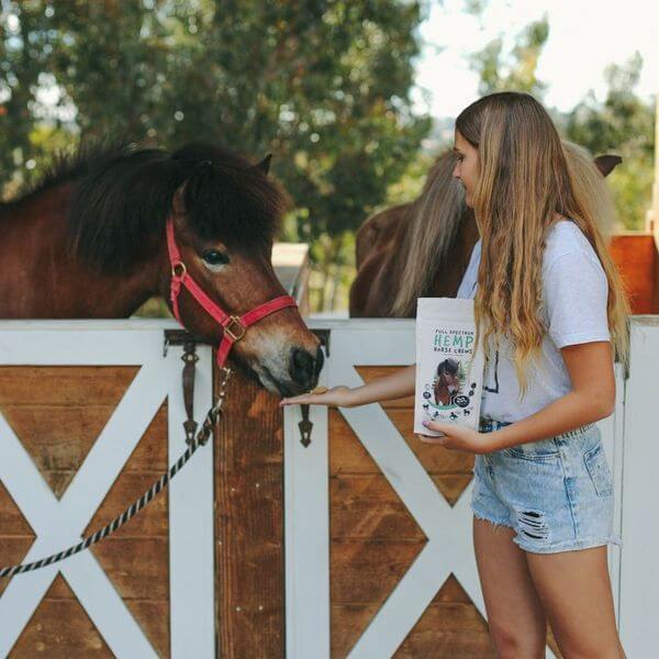 Woman offering Hemp Horse Chews to a brown horse over a wooden stable gate. Another horse in the background.