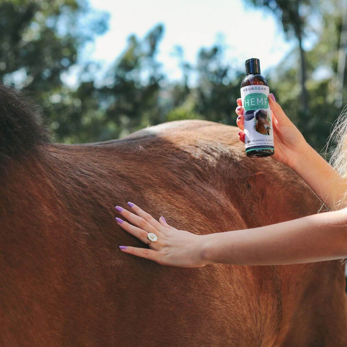 Close-up of a hand applying Hemp Horse Oil to a brown horse's back. The bottle is held in the other hand.