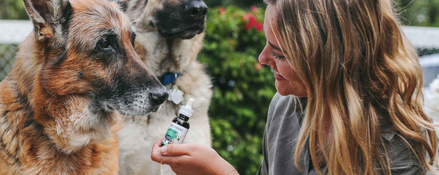 CBD for All Pets & Animals