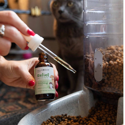 1000MG CBD Dog Tincture - Neurogan Pets