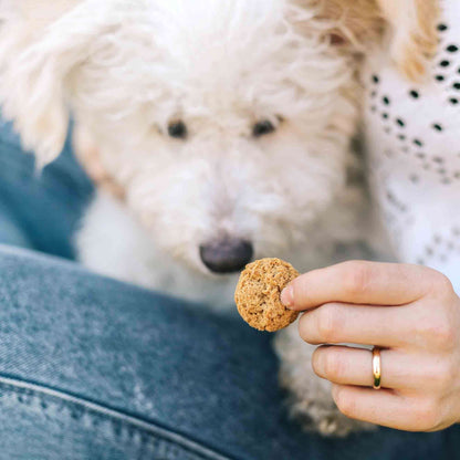 CBD Dog Treats - Neurogan Pets