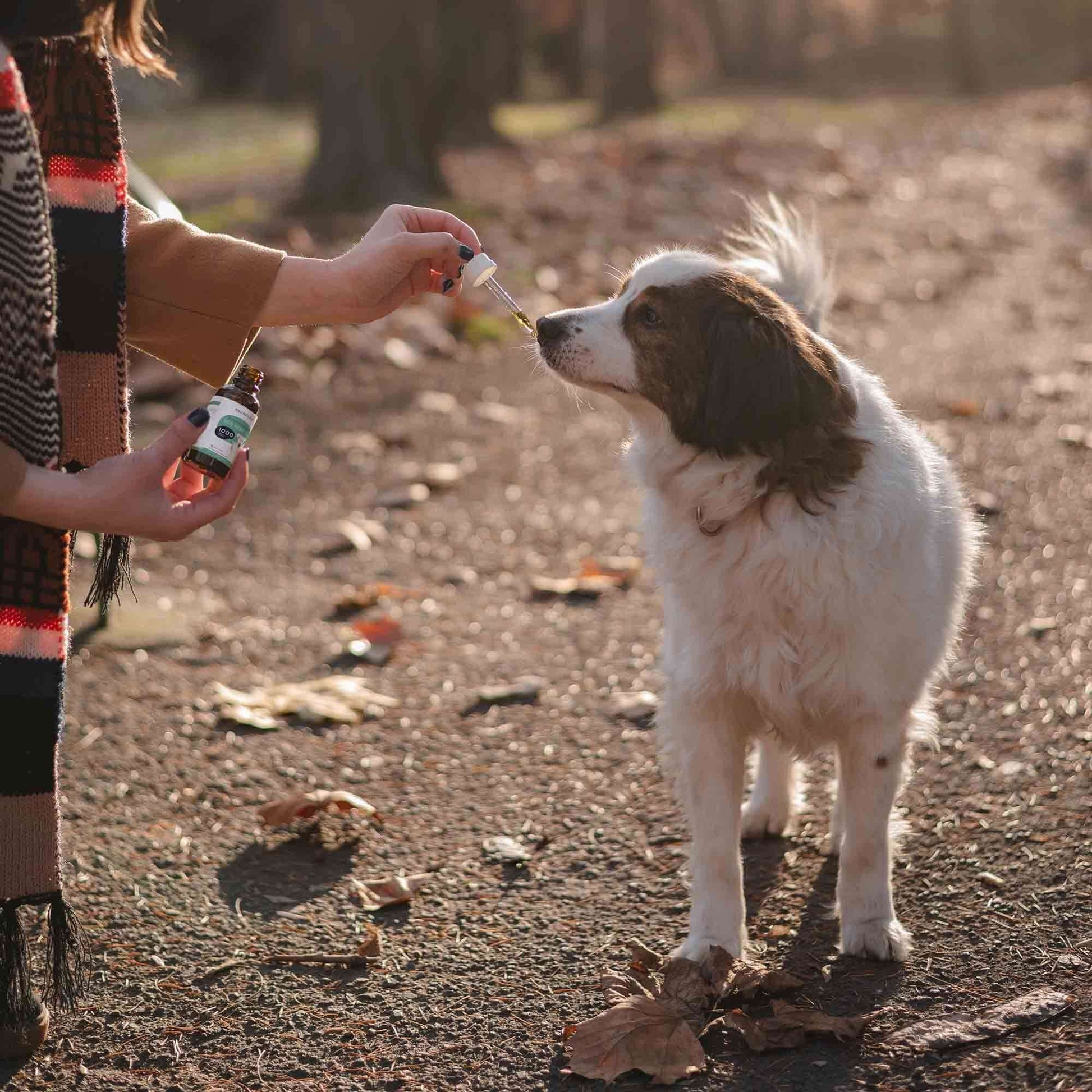 Bacon Flavored CBD Oil for Dogs - Neurogan Pets